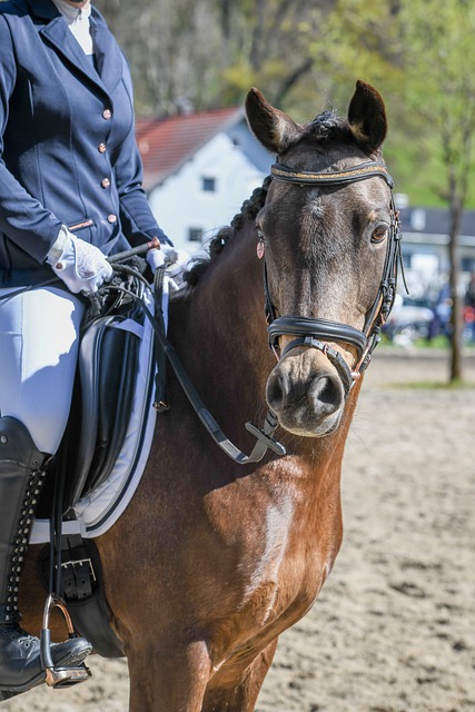 美职联公布2026年赛程，世界杯期间将休赛两个月